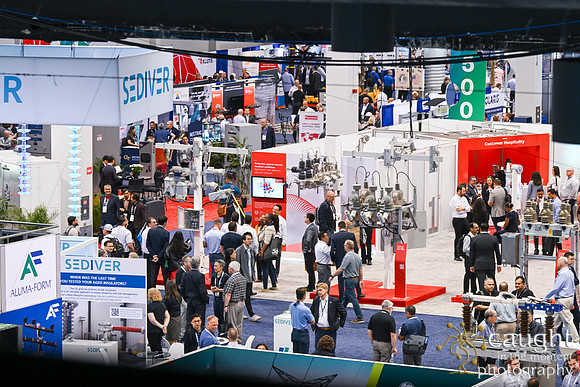 531 IEEE PES TandD Anaheim 2024