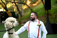 722 Chompff Wedding at Los Willows