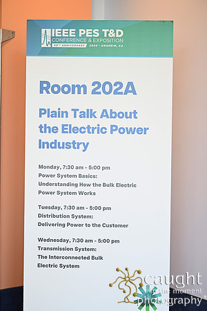 1336 IEEE PES TandD Anaheim 2024