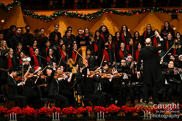 071 Deck the Hall 2024