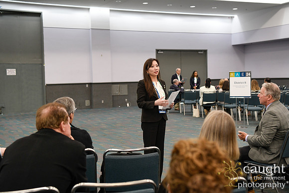 1056 AAE 2024 in Los Angeles - District Caucuses