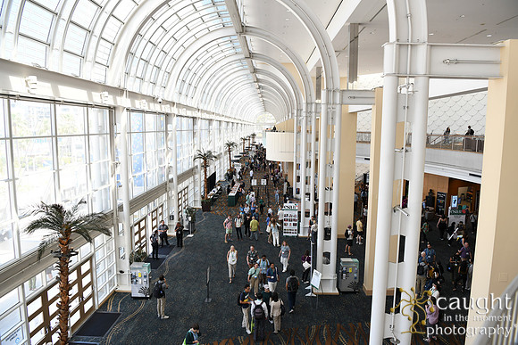 020 ESA 2024 in Long Beach