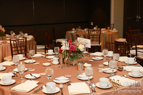 007 Memorial Medical Center Foundation Appreciation Luncheon 2024