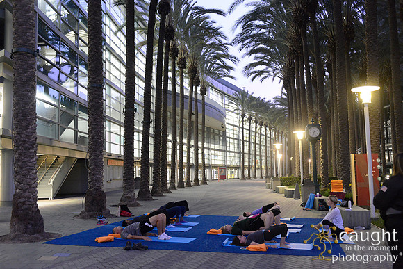 1286 OMED 2016-Yoga