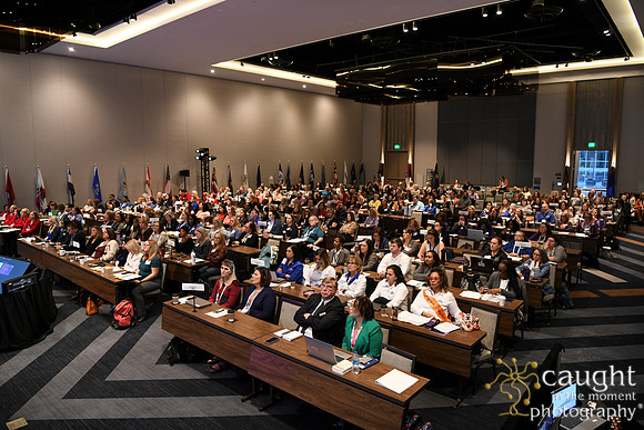 115 AHIMA 2024 Salt Lake City