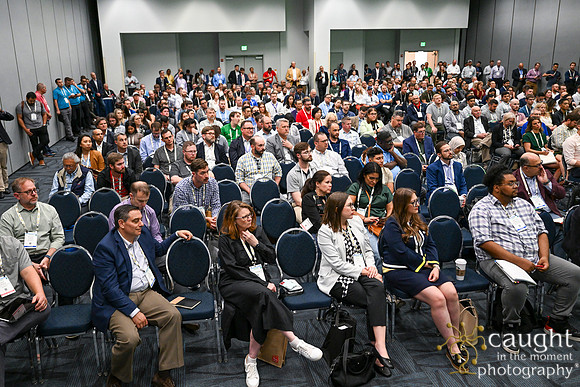 1000 IEEE PES TandD Anaheim 2024