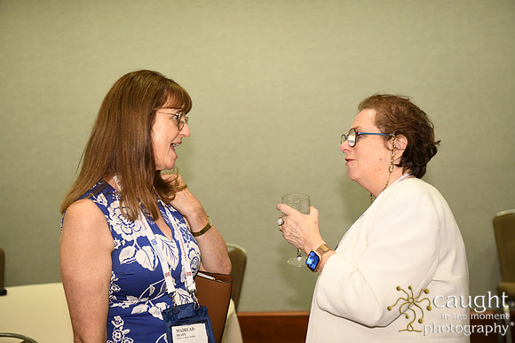 282 AOM 2024 VIP Reception with Volunteers
