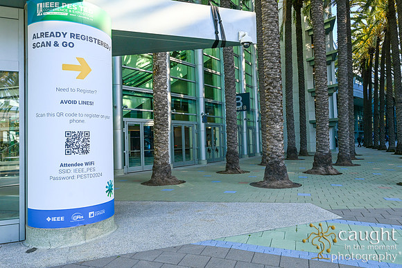 012 IEEE PES TandD Anaheim 2024