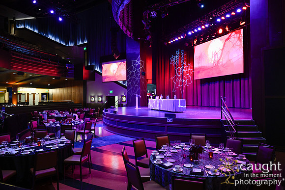 018 NPC Awards Gala 2025 Phoenix