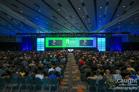 013 RUSH IEEE PES TandD Anaheim 2024