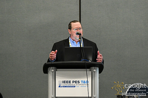 1015 IEEE PES TandD Anaheim 2024