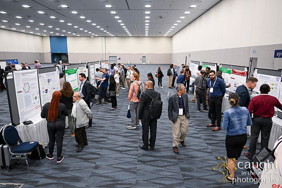 1400 IEEE PES TandD Anaheim 2024