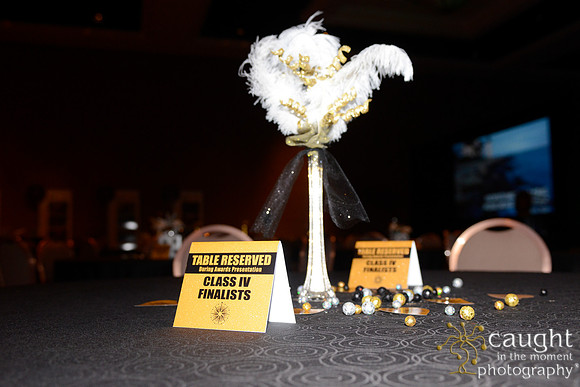 263 NRPA 2015 Gold Medal Reception