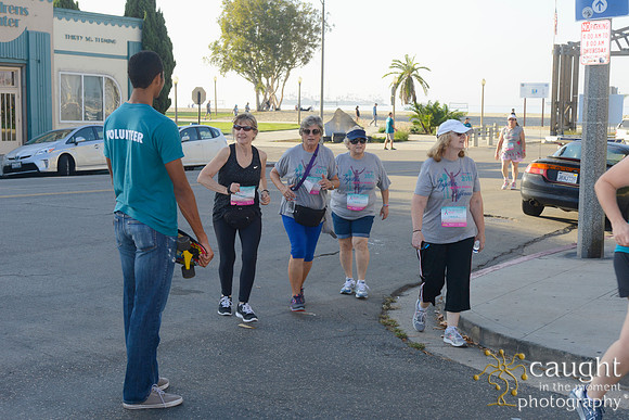 015 Team Spirit Long Beach 2015 5K 10K Walk
