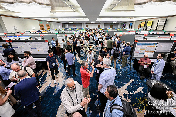 331 IEEE PES General Meeting 2025 Austin