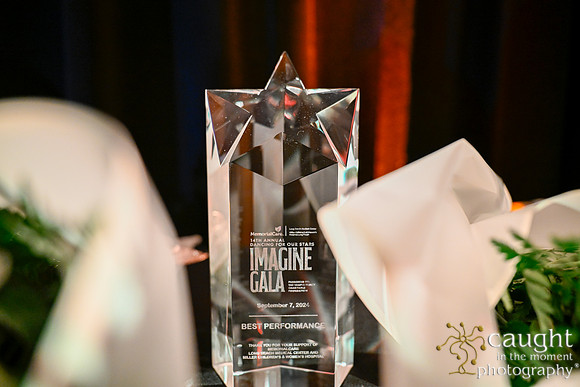060 Imagine Gala 2024