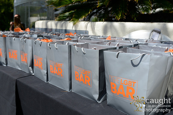 003 LGBT Bar Association