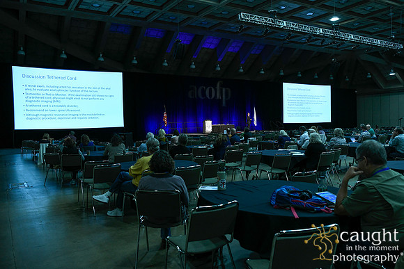236 OMED 2019 Baltimore - ACOFP Sessions