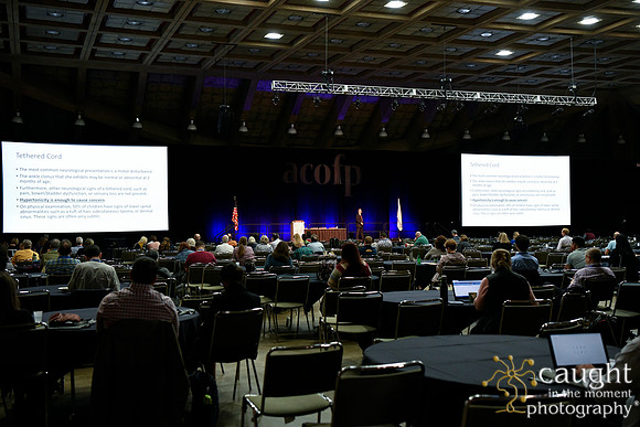 234 OMED 2019 Baltimore - ACOFP Sessions