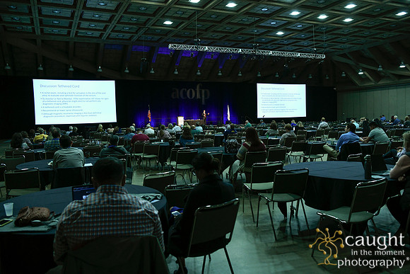 237 OMED 2019 Baltimore - ACOFP Sessions
