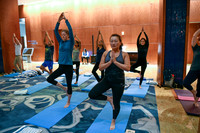 225 OMED 2019 Baltimore - Yoga