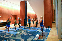 222 OMED 2019 Baltimore - Yoga