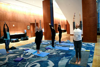 230 OMED 2019 Baltimore - Yoga