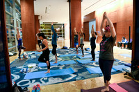 227 OMED 2019 Baltimore - Yoga