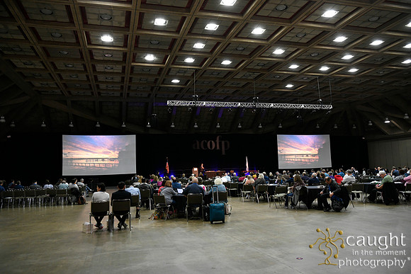 313 OMED 2019 Baltimore - Wellness Sessions