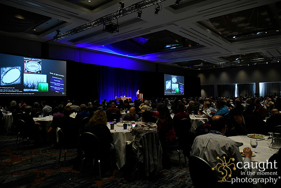 1078 OMED 2019 Baltimore - Lunch Symposium