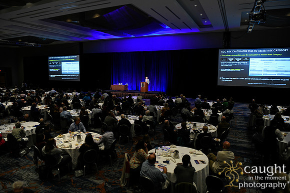 1081 OMED 2019 Baltimore - Lunch Symposium