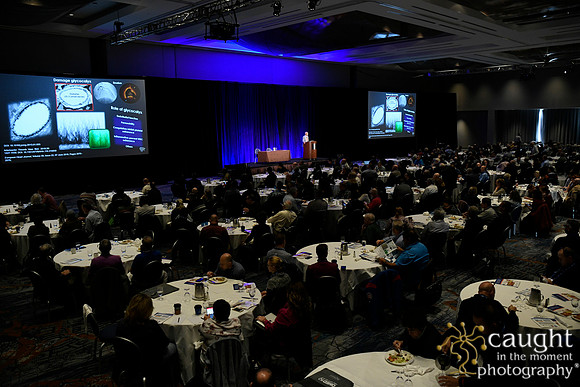 1079 OMED 2019 Baltimore - Lunch Symposium