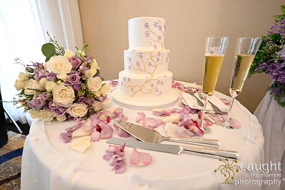 041 Hymovitz Wedding at San Pedro Doubletree