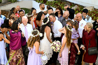 318 Hymovitz Wedding at San Pedro Doubletree