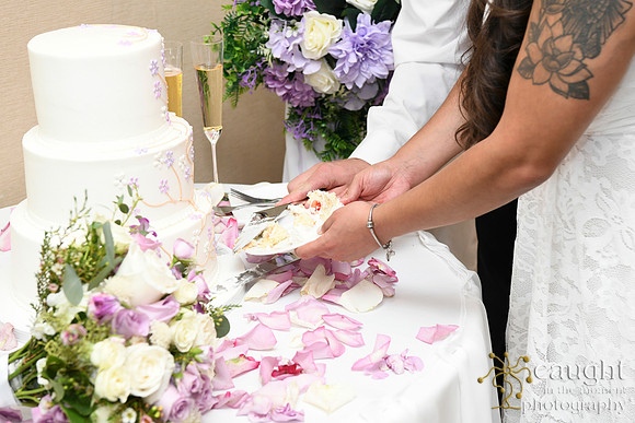541 Hymovitz Wedding at San Pedro Doubletree