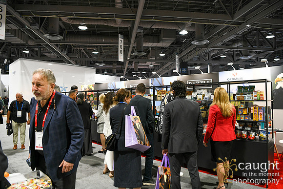 041 Optimum Solutions at IFSA Global Expo 2025