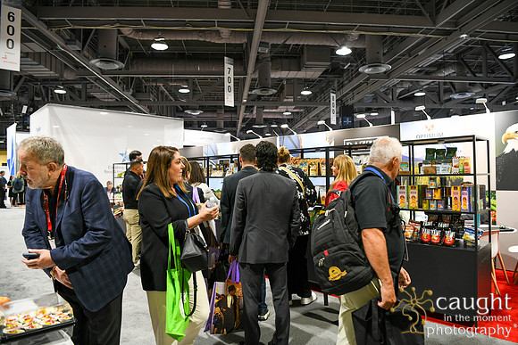 042 Optimum Solutions at IFSA Global Expo 2025