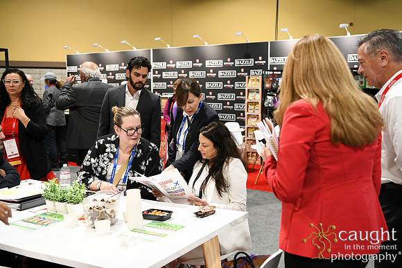 062 Optimum Solutions at IFSA Global Expo 2025