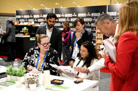 063 Optimum Solutions at IFSA Global Expo 2025
