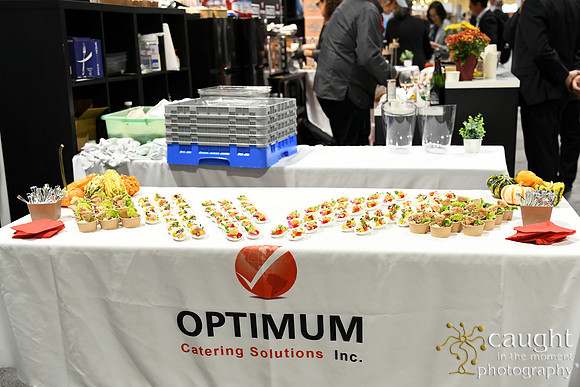 089 Optimum Solutions at IFSA Global Expo 2025