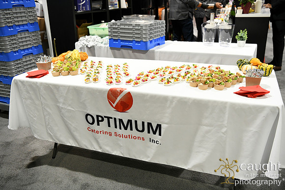 090 Optimum Solutions at IFSA Global Expo 2025