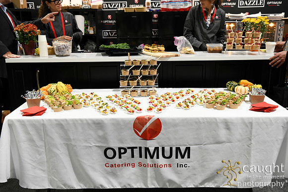 096 Optimum Solutions at IFSA Global Expo 2025