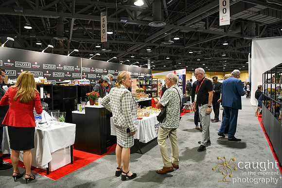 125 Optimum Solutions at IFSA Global Expo 2025