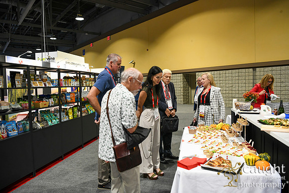 129 Optimum Solutions at IFSA Global Expo 2025