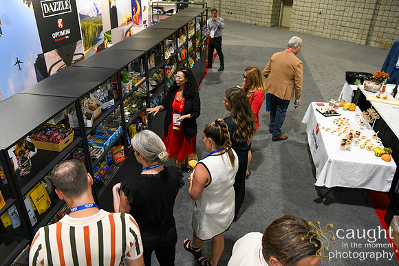 209 Optimum Solutions at IFSA Global Expo 2025