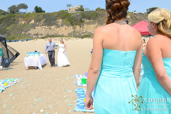043 Wood Beach Wedding Point Dume Mailbu