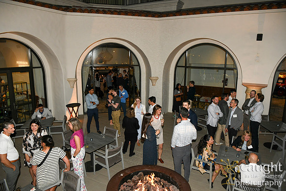 315 MoFo Litigation Meeting 2025
