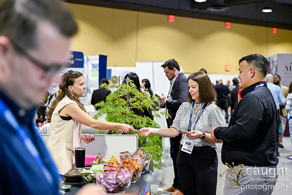 1593 APEX IFSA GlobalExpo 2025 Long Beach
