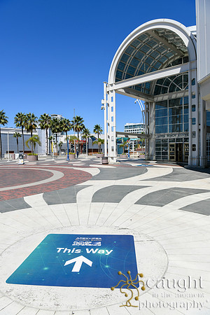 1790 APEX IFSA GlobalExpo 2025 Long Beach