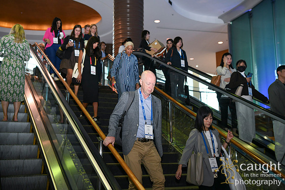 1895 APEX IFSA GlobalExpo 2025 Long Beach